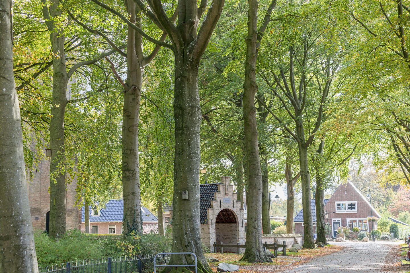 Charming 1930s Detached Home with Countryside Views and Ground Floor Bedroom — 29