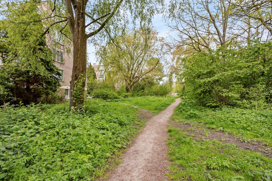Spacious 3-bedroom apartment with south and west facing balconies — 32