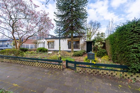 Koningslijn thumbnail