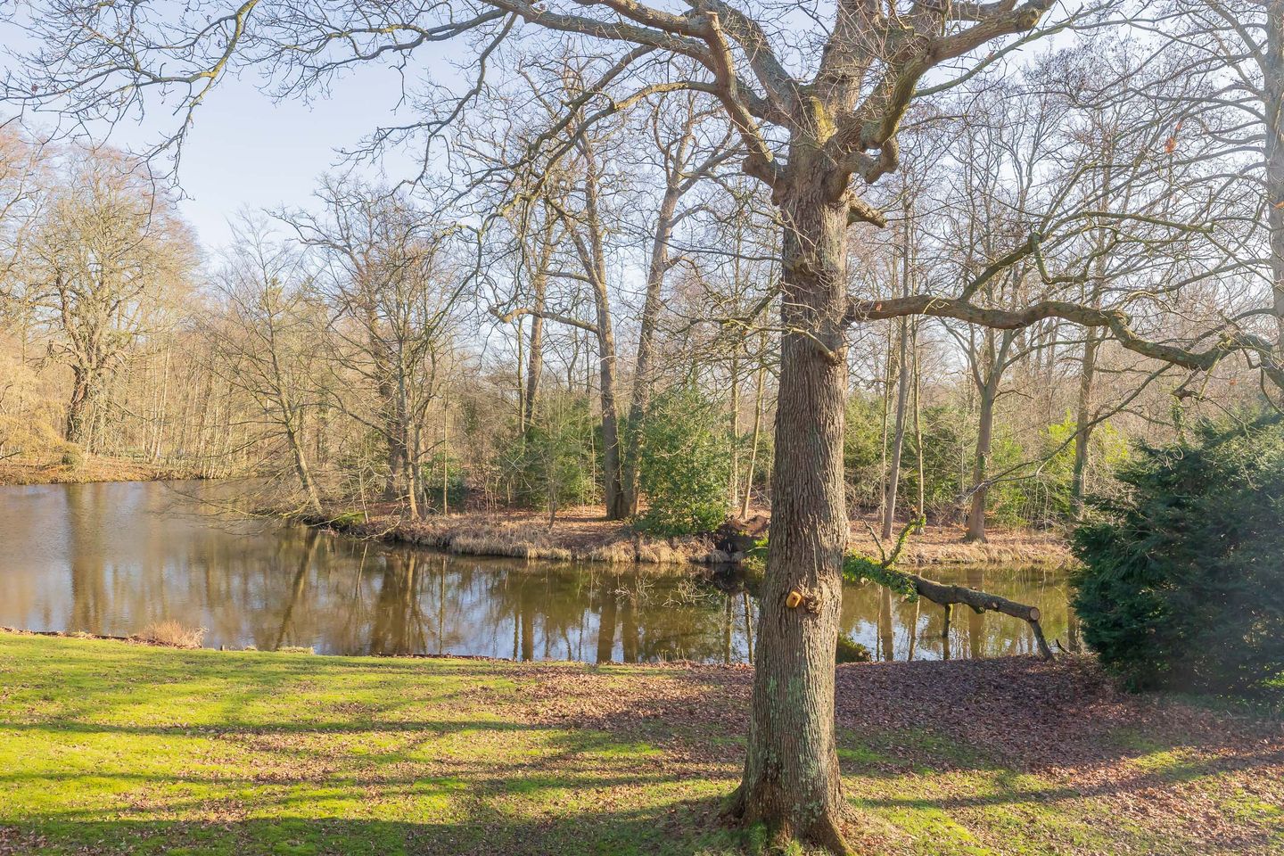 Photo 20 of Binnenweg 6-F128