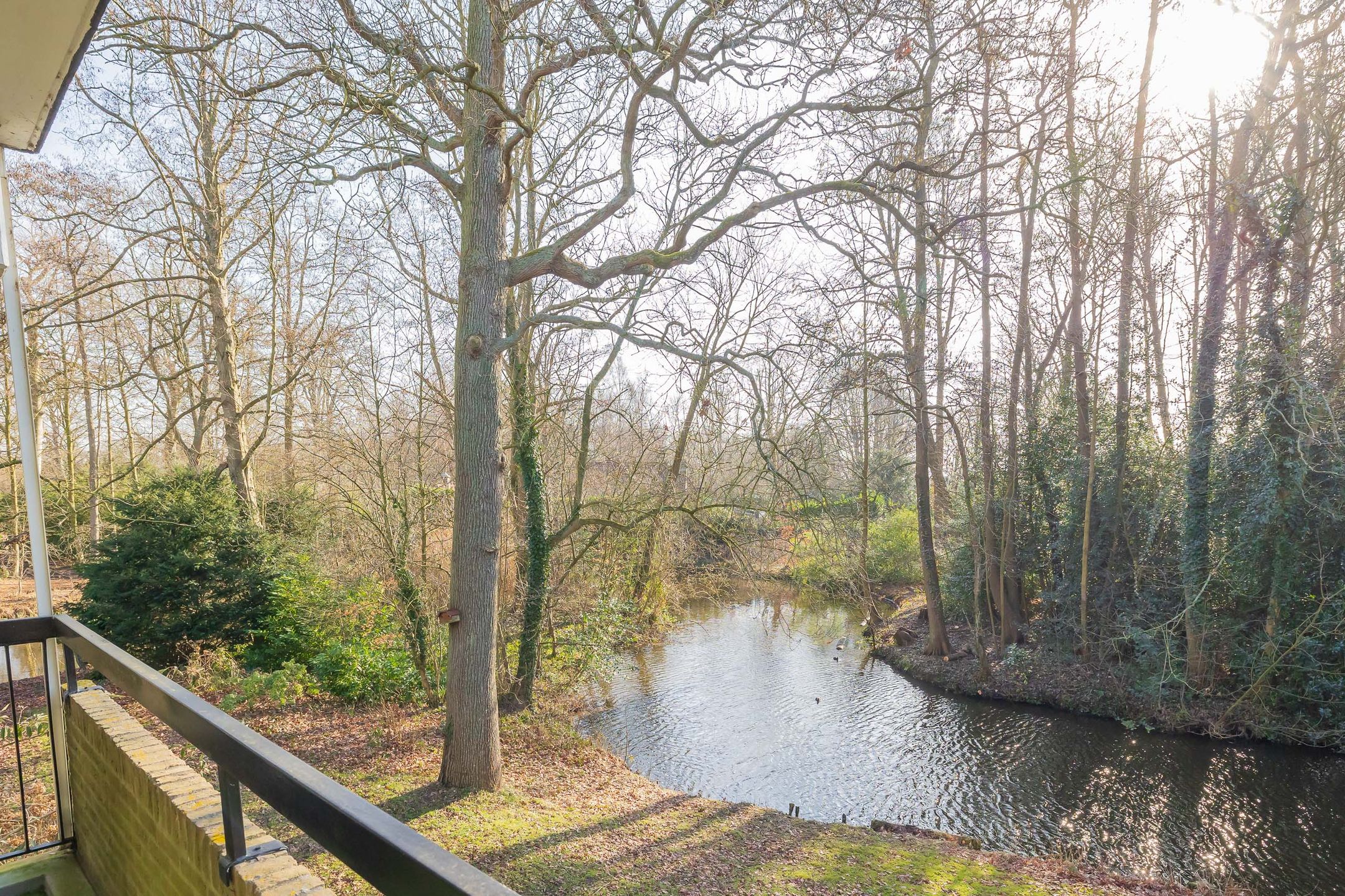 Photo 21 of Binnenweg 6-F128