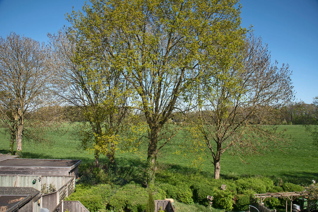 Foto 32 van Coba Kellingstraat 96