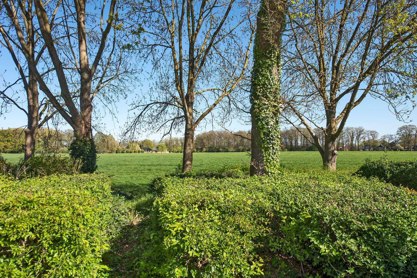 Foto 35 van Coba Kellingstraat 96