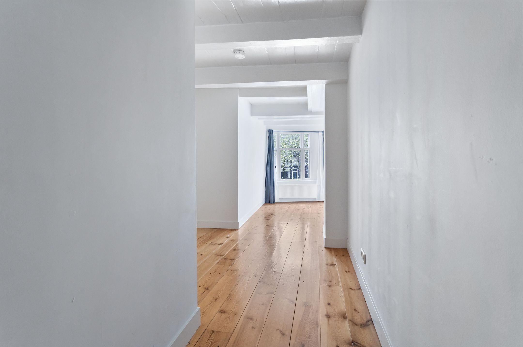 Foto 18 van Singel 389