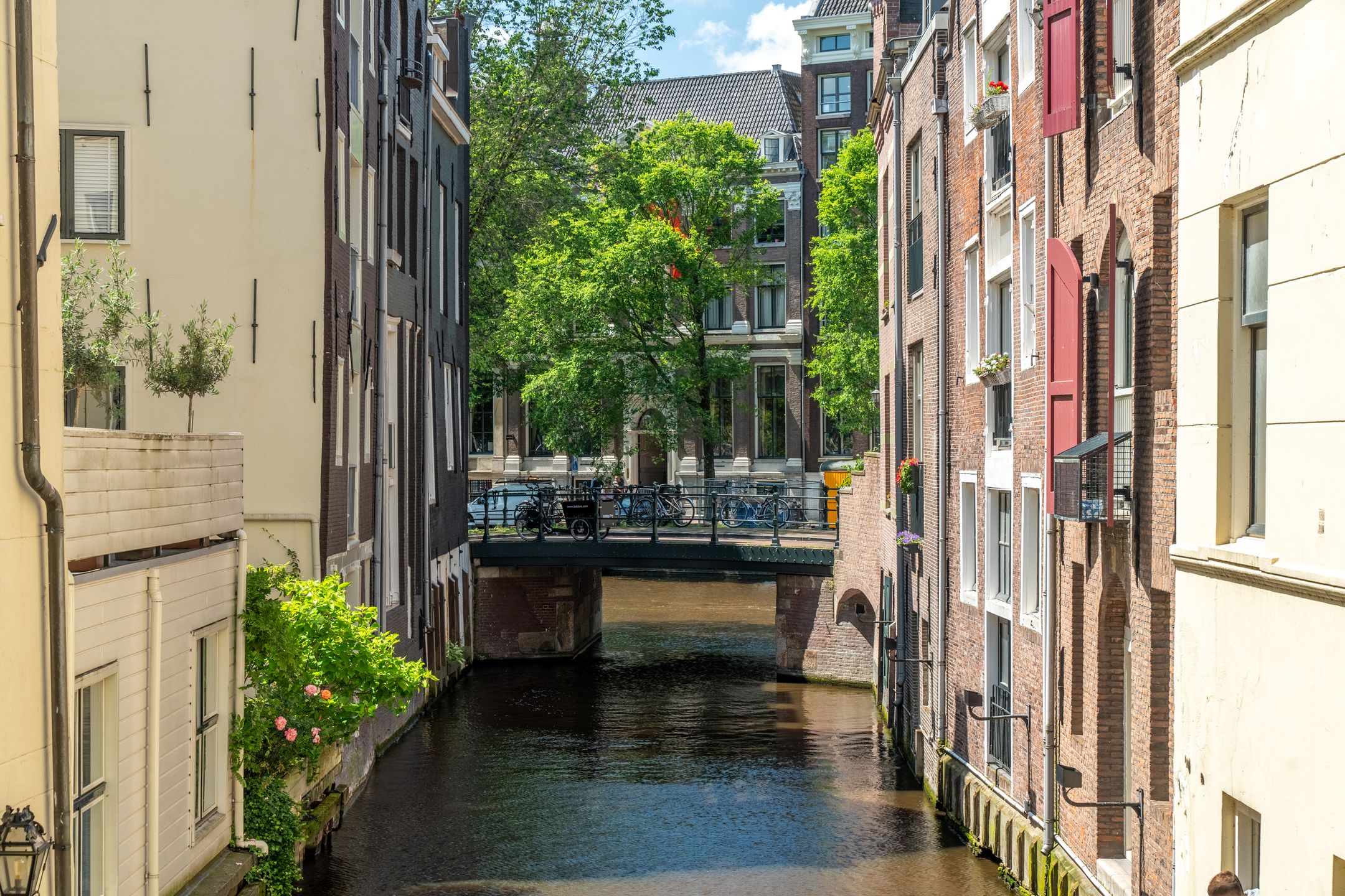 Foto 48 van Singel 389