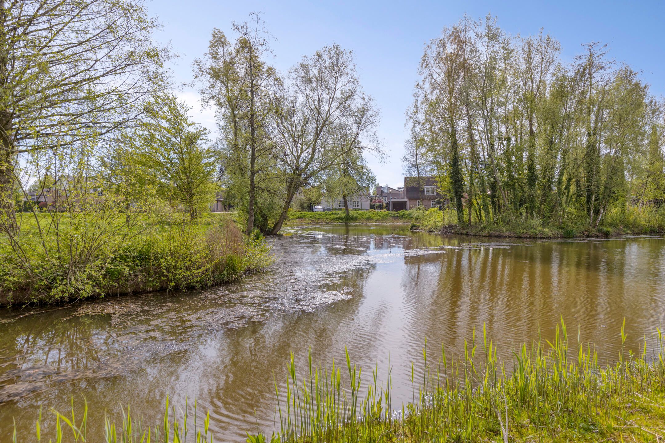 Photo 24 of Schout van Raesfeltstraat 107