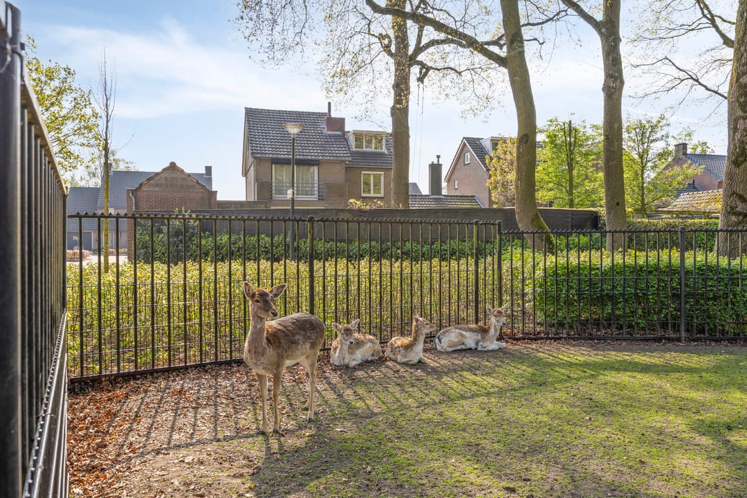 Surprisingly spacious and light detached family home with garden room — 46