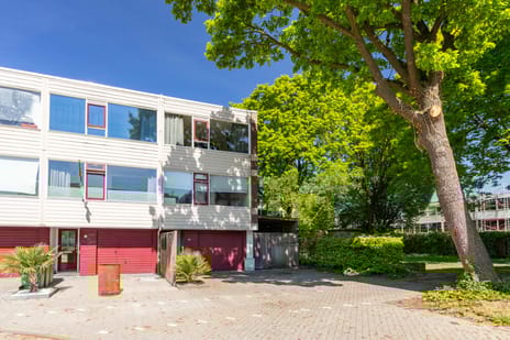 undefined main image