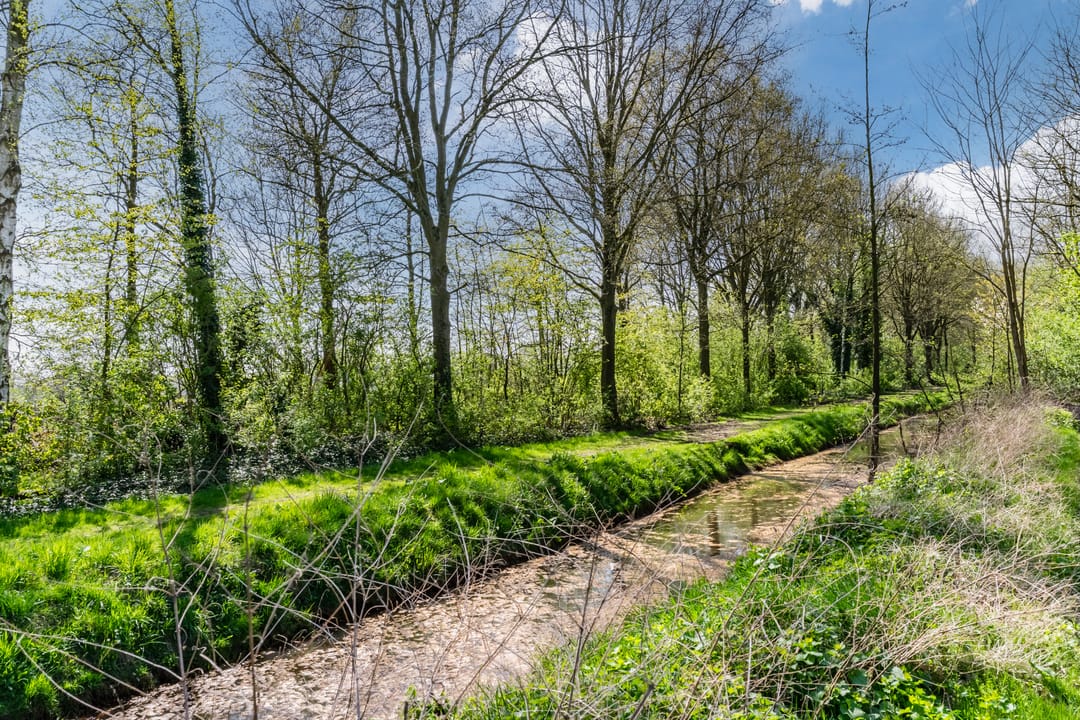 Foto 23 van Oude Provincialeweg 13-B