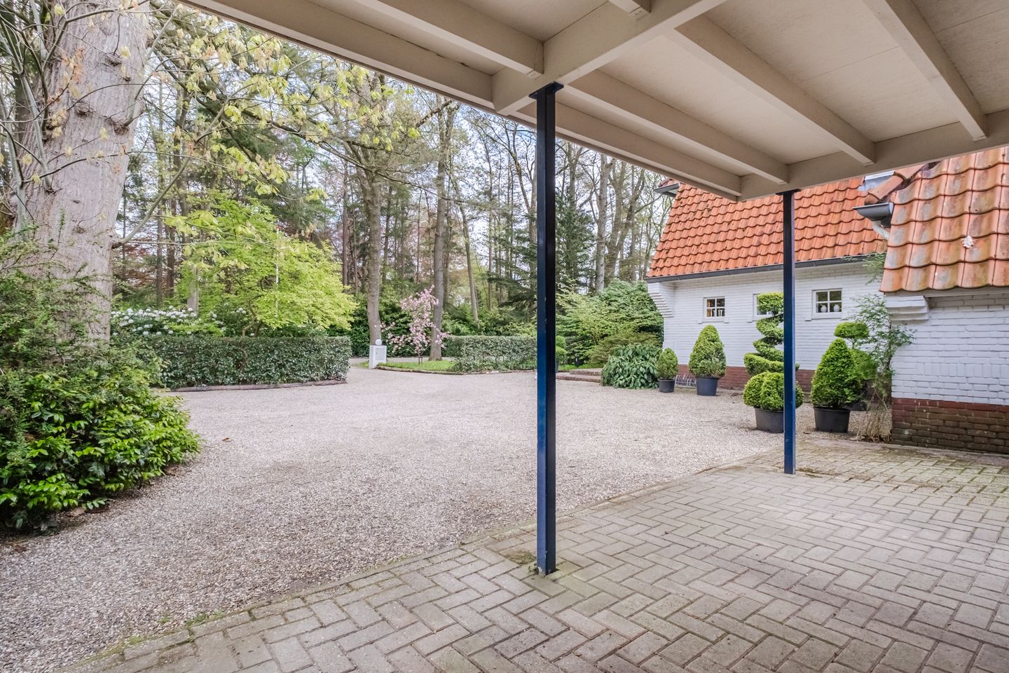 Photo 10 of Lissevenlaan 3