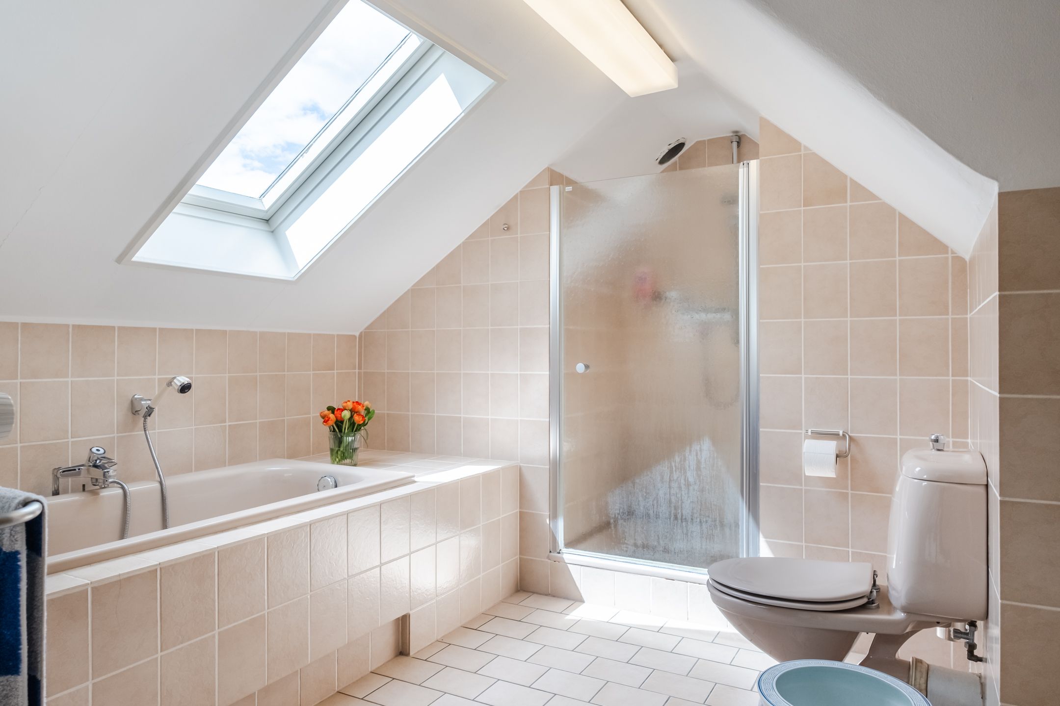 Photo 51 of Lissevenlaan 3