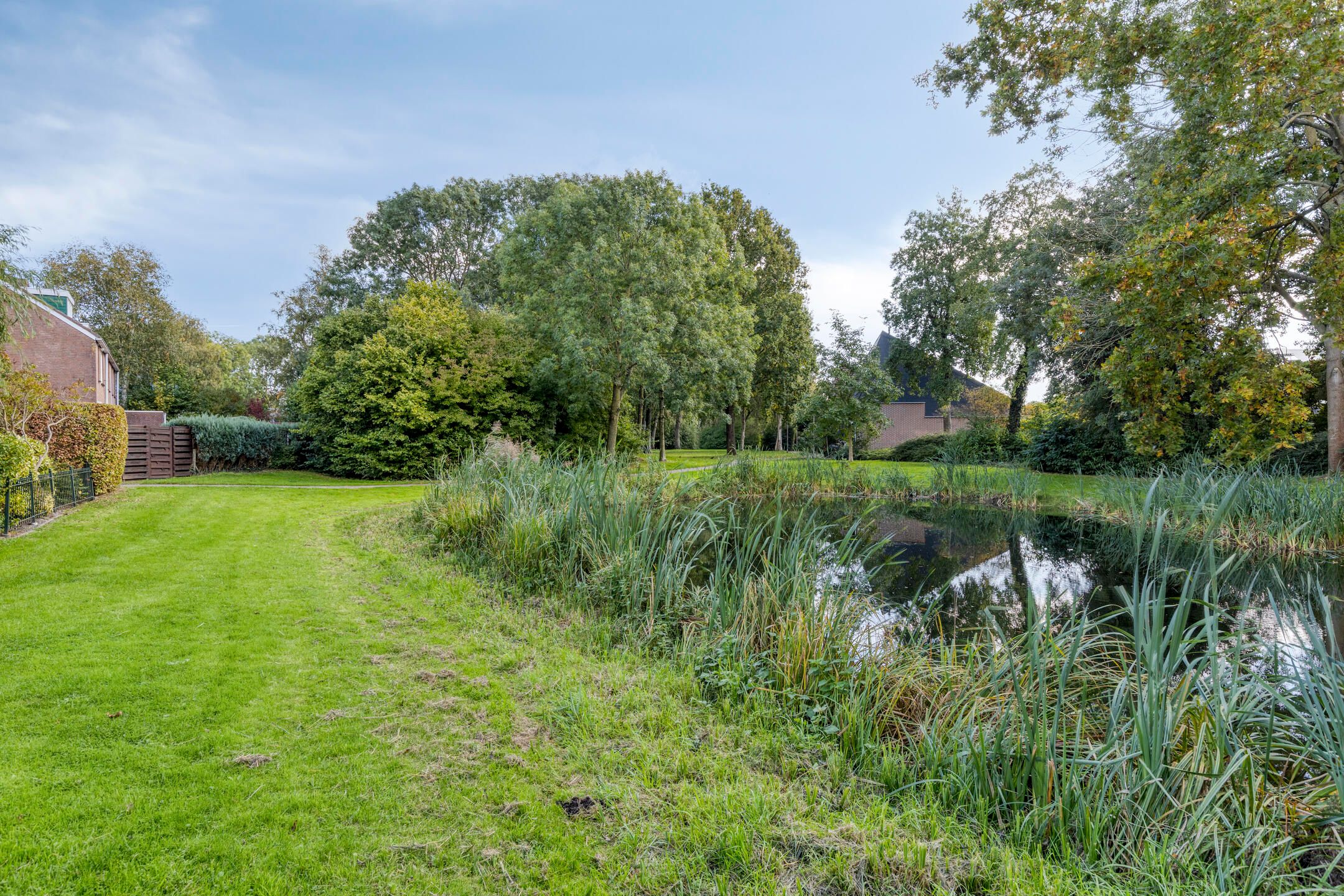 Foto 33 van Boterbloem 22