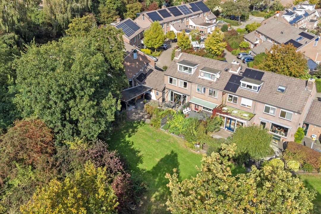 Foto 2 van Boterbloem 22