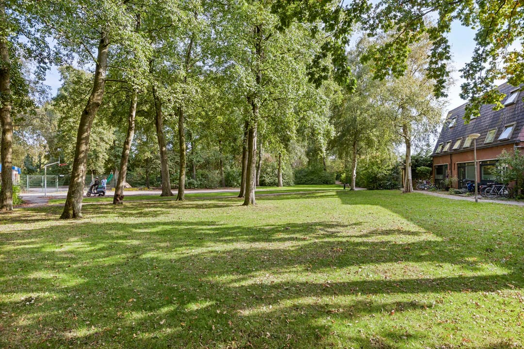 Foto 32 van Boterbloem 22