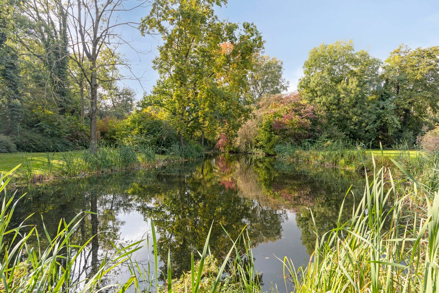 Foto 35 van Boterbloem 22