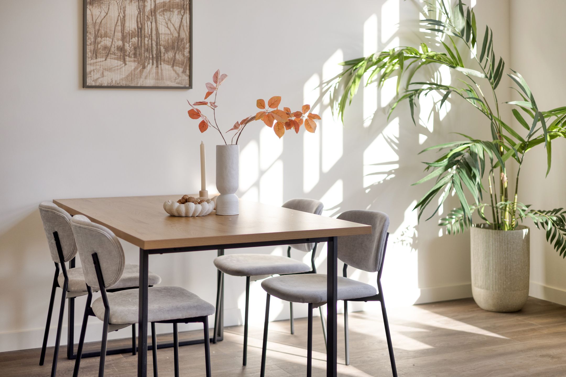 Foto 18 van Hof van Olijven 4