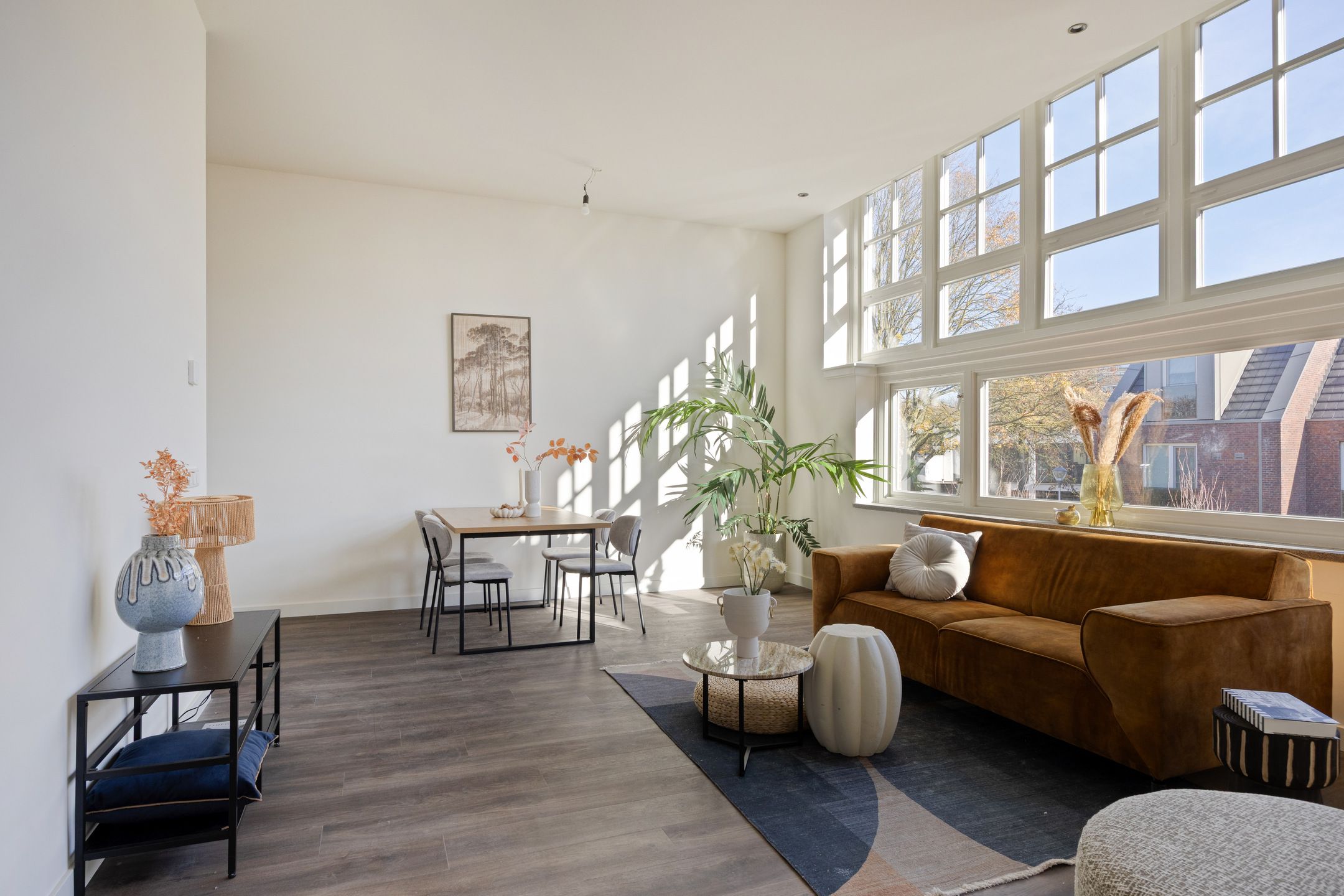 Foto 12 van Hof van Olijven 4