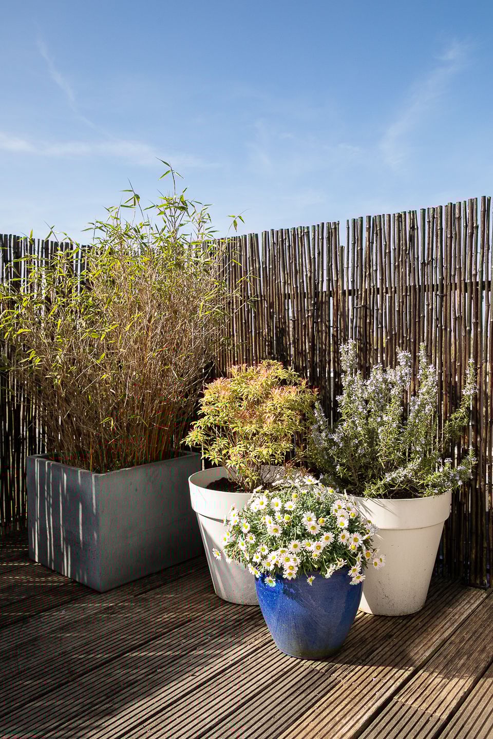 Photo 34 of Da Costastraat 23-4