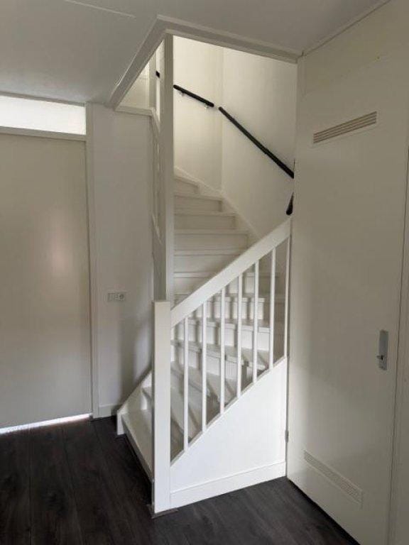 Foto 8 van Tweelingen 1