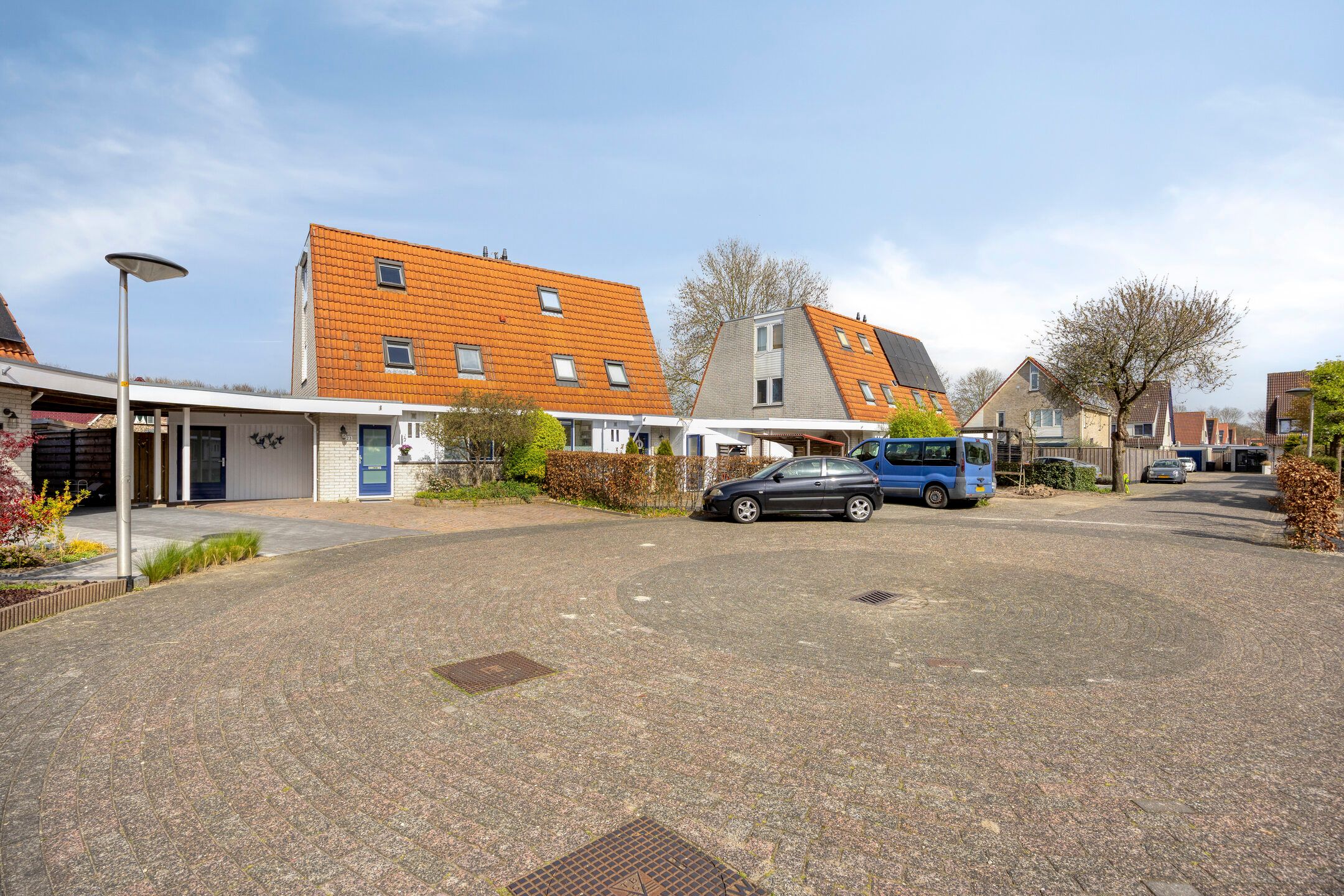 Foto 45 van De Lipizzaner 23