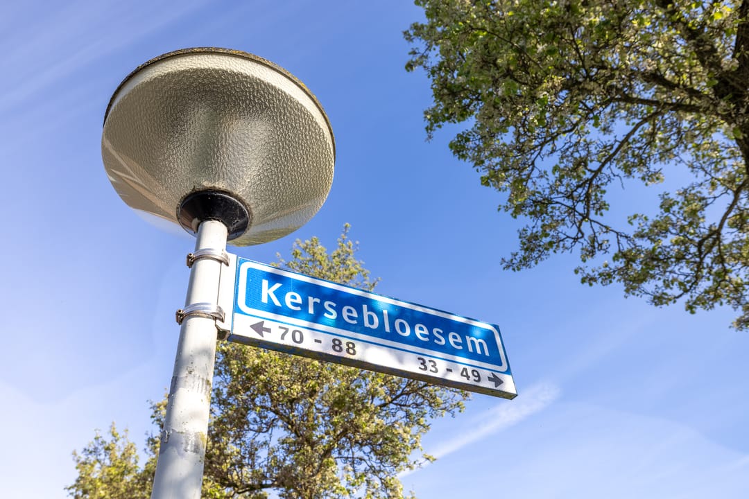 Foto 37 van Kersebloesem 86