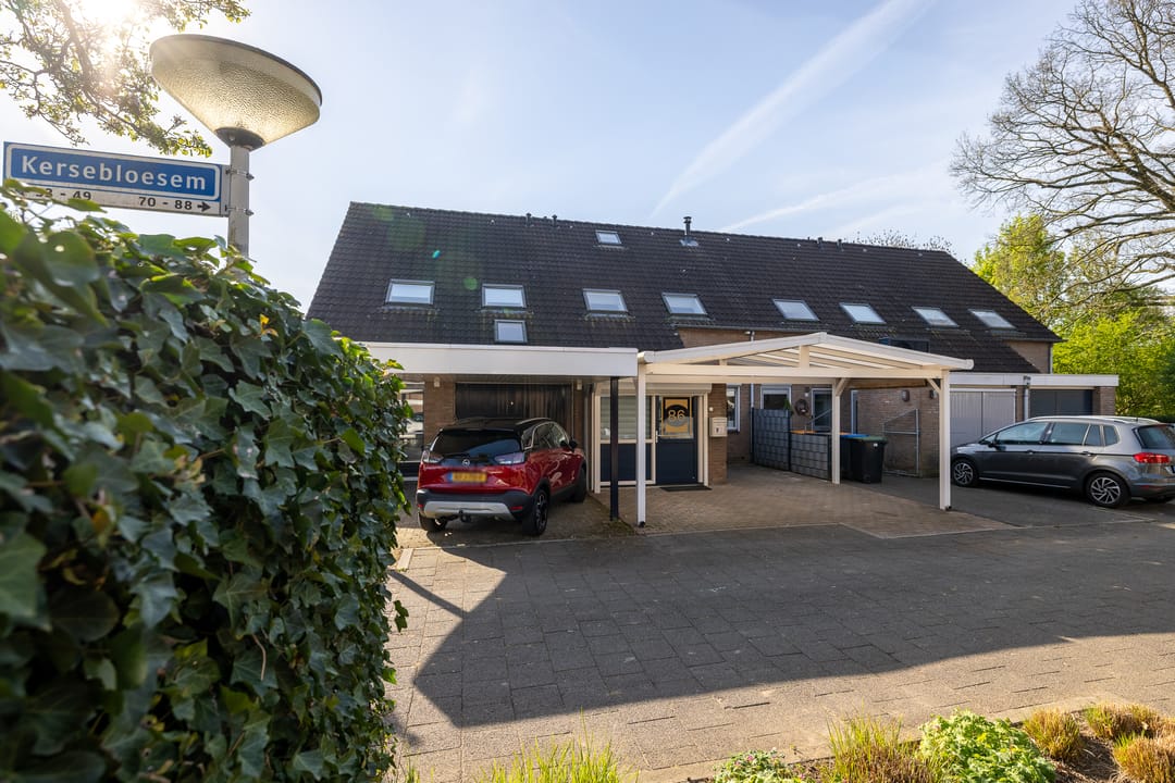 Foto 1 van Kersebloesem 86