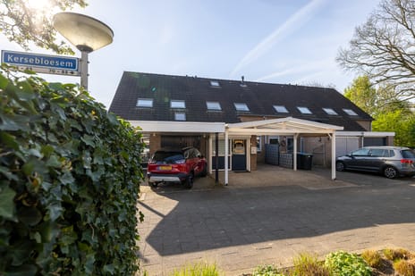 Kersebloesem thumbnail