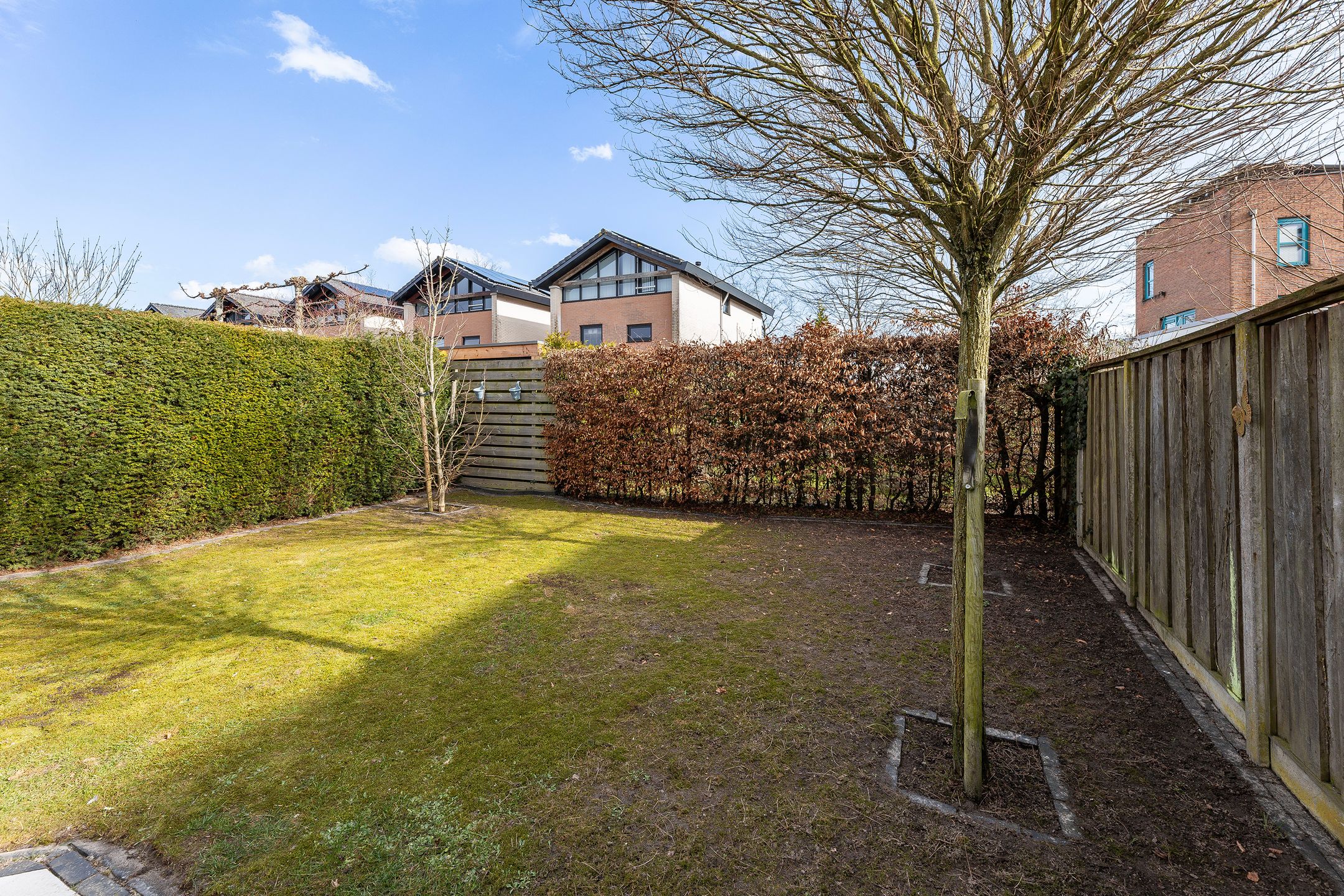 Foto 27 van Albistraat 4