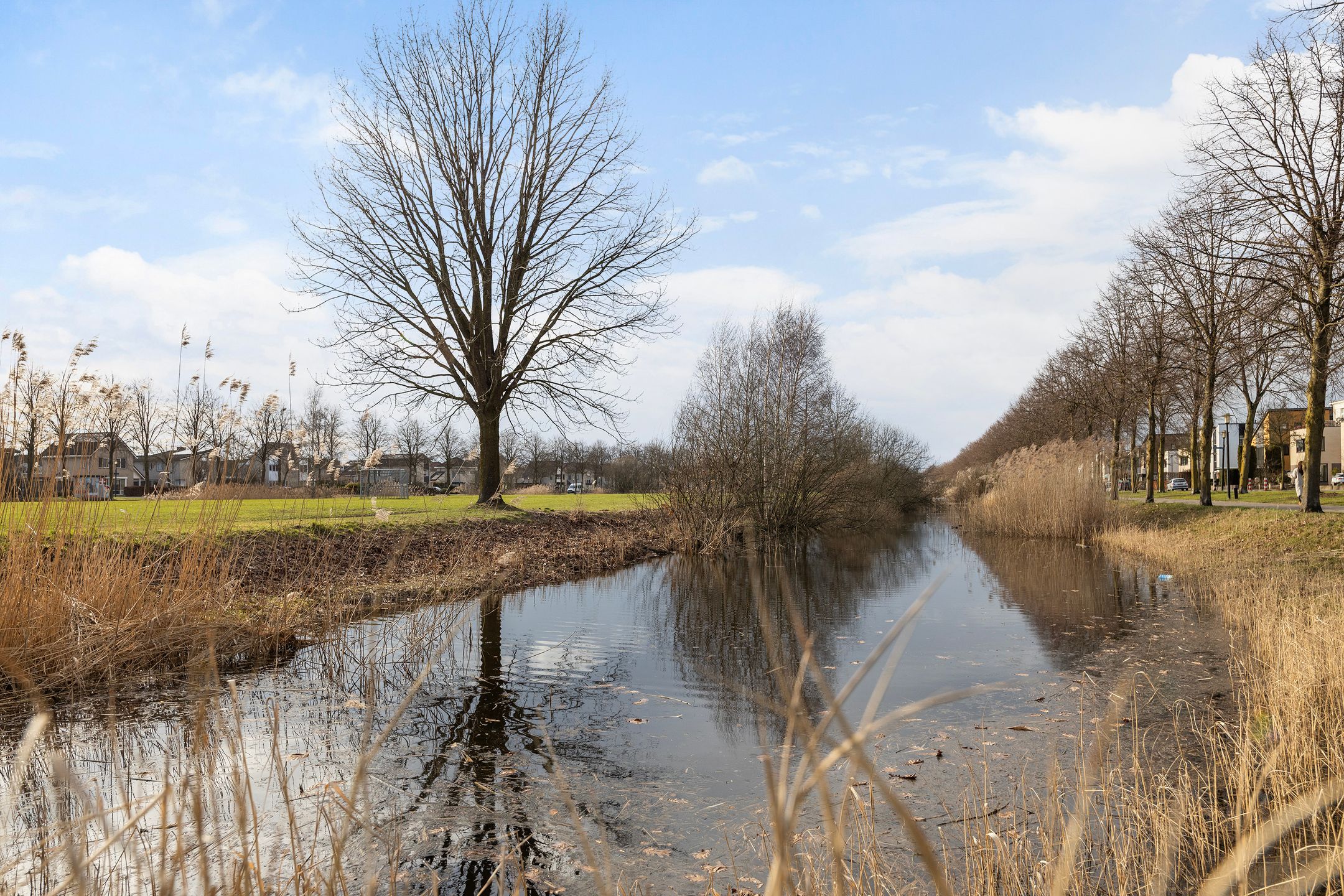 Foto 45 van Albistraat 4