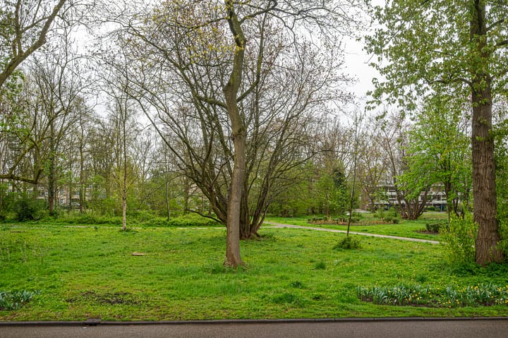 Foto 4 van Hooftlaan 57