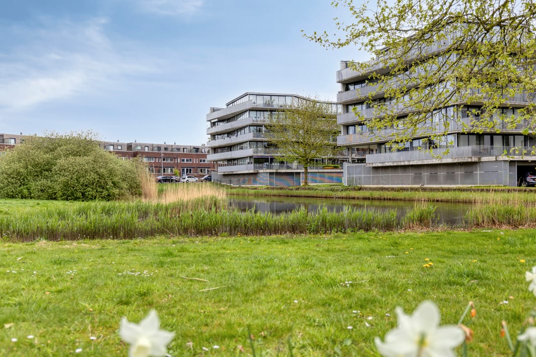 Foto 38 van Hampshire 27