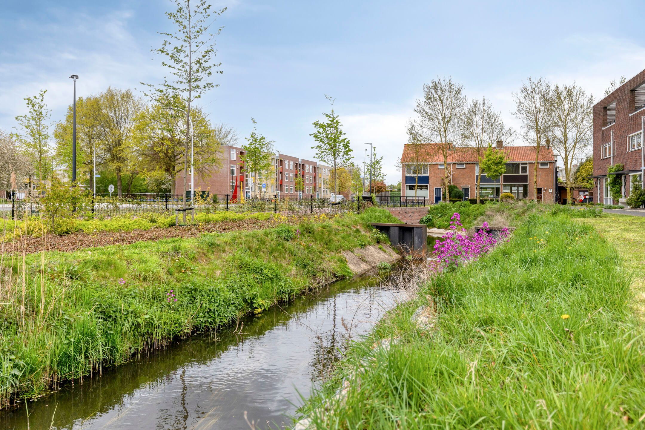 Foto 39 van Hampshire 27