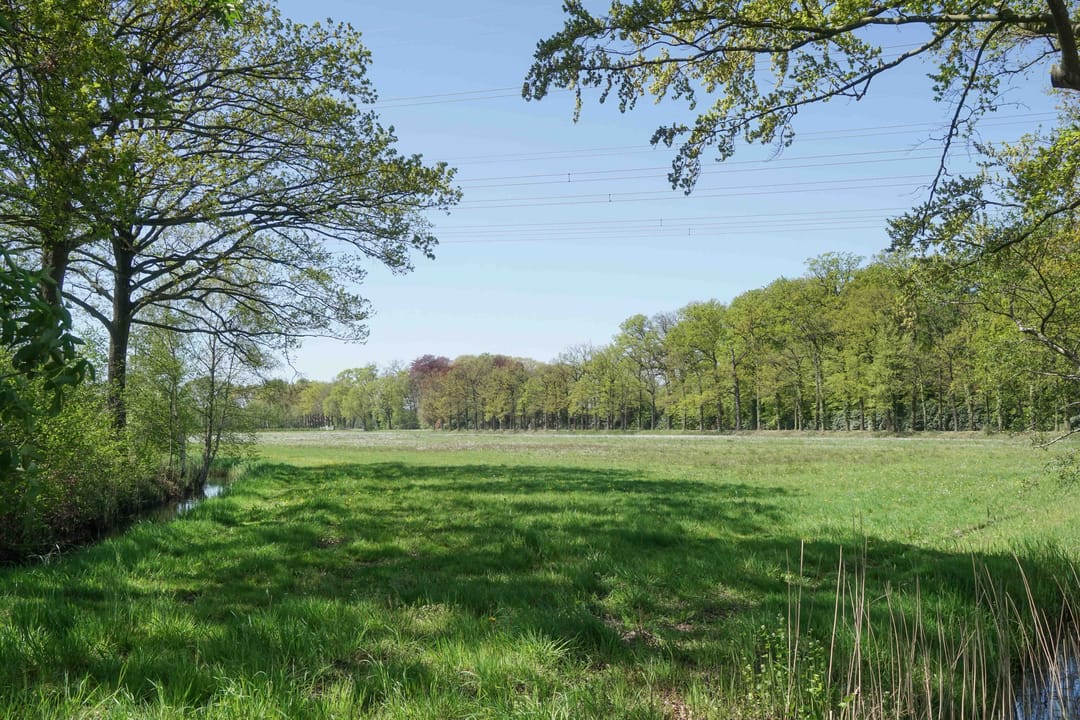 Foto 38 van Coelhorsterweg 34