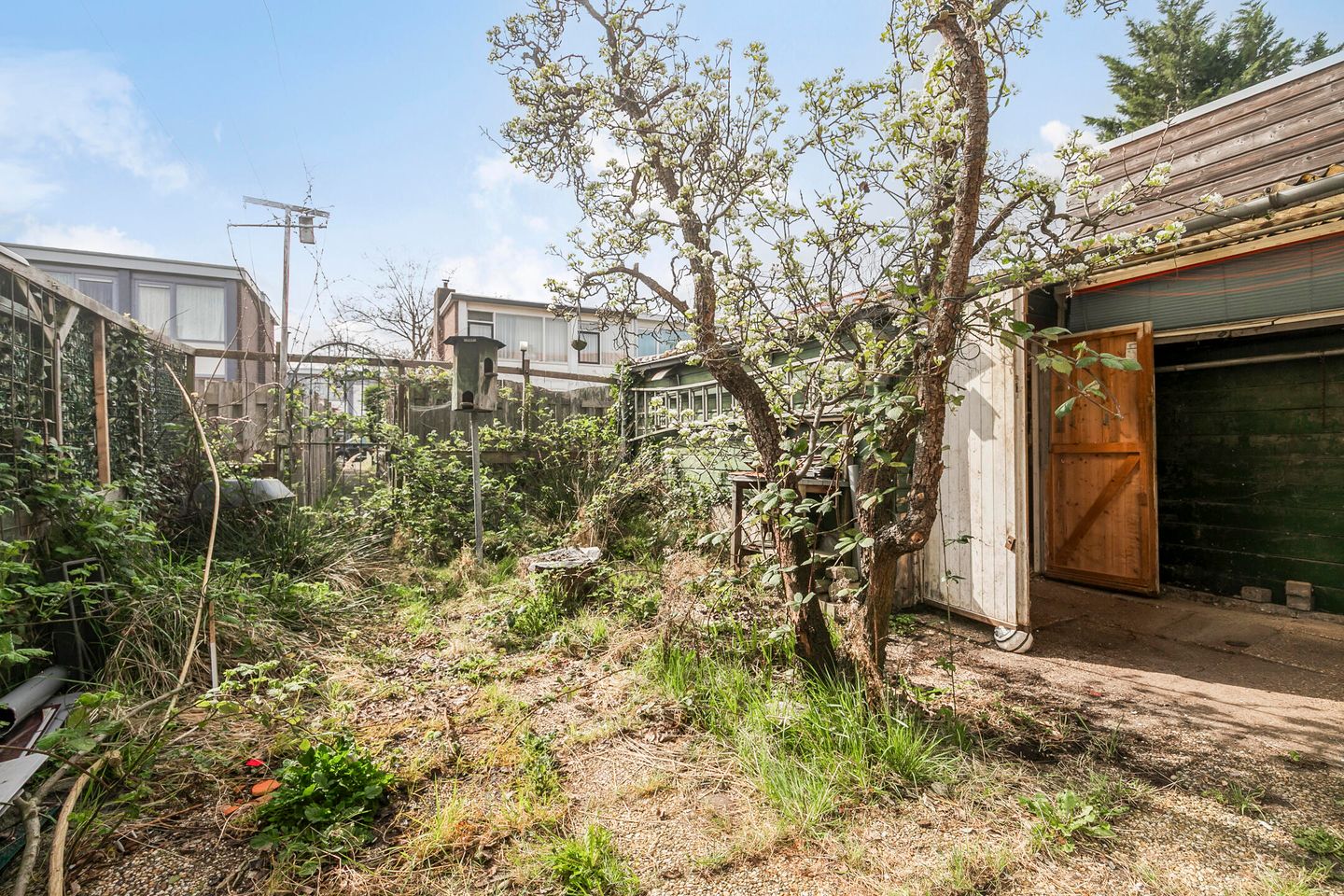 Foto 19 van Jacob Honigstraat 30