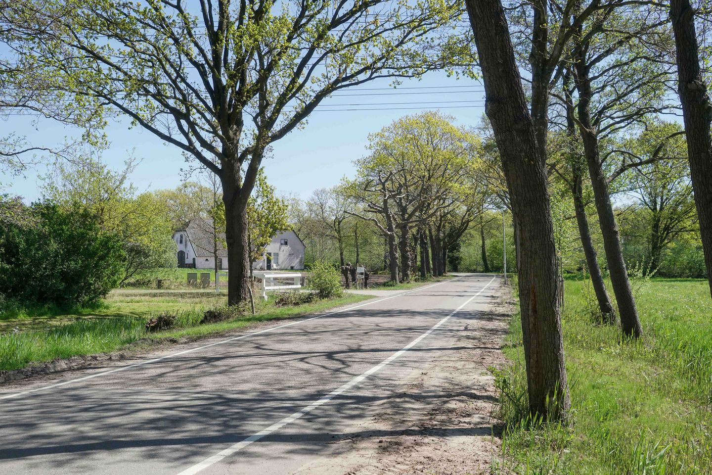 Foto 40 van Coelhorsterweg 34