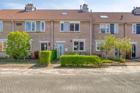 Vogelkersstraat thumbnail