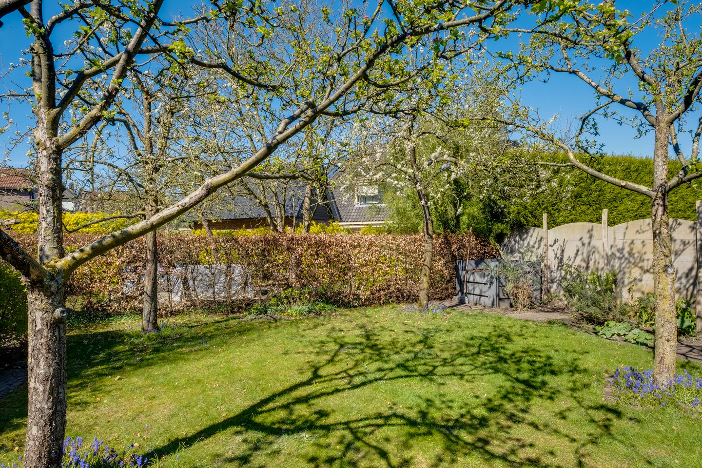 Foto 35 van Prinsenstraat 58