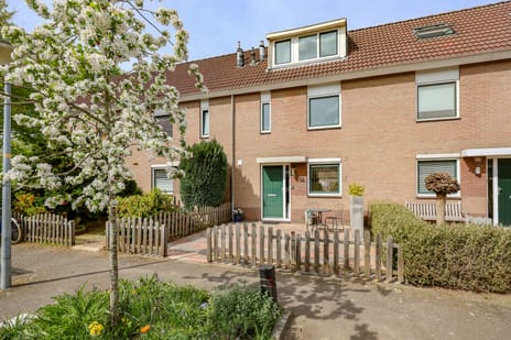 Schepenen thumbnail