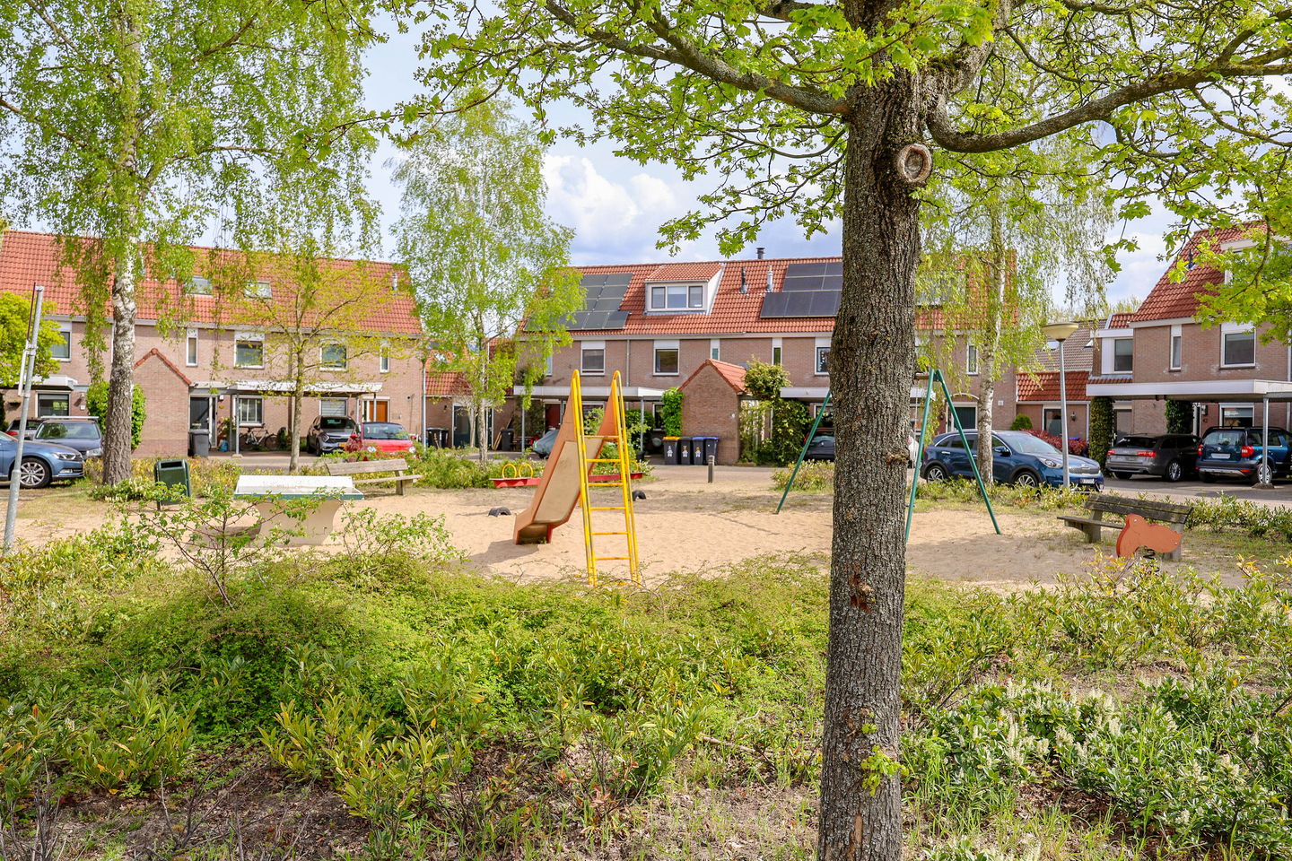 Photo 50 of Schepenen 14