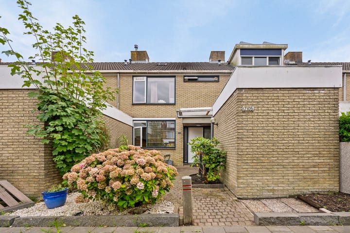 Graan voor Visch 17105 main image