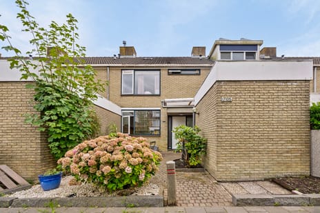 Graan voor Visch thumbnail