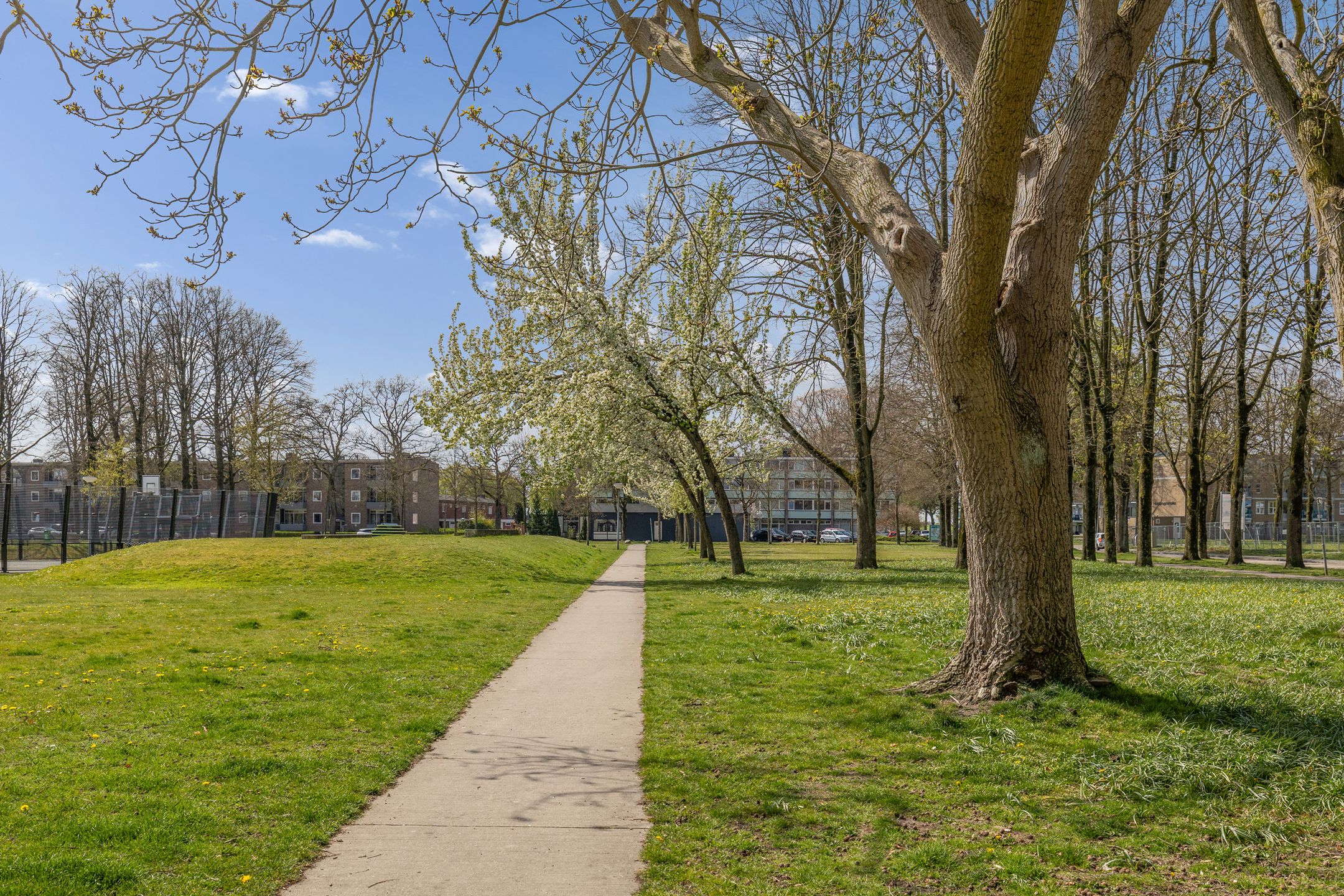 Photo 36 of Middenhaag 479