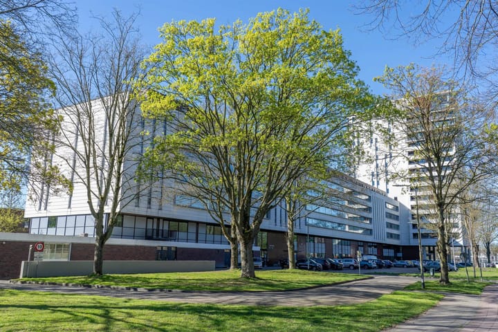 Ringbaan-Zuid 58 main image