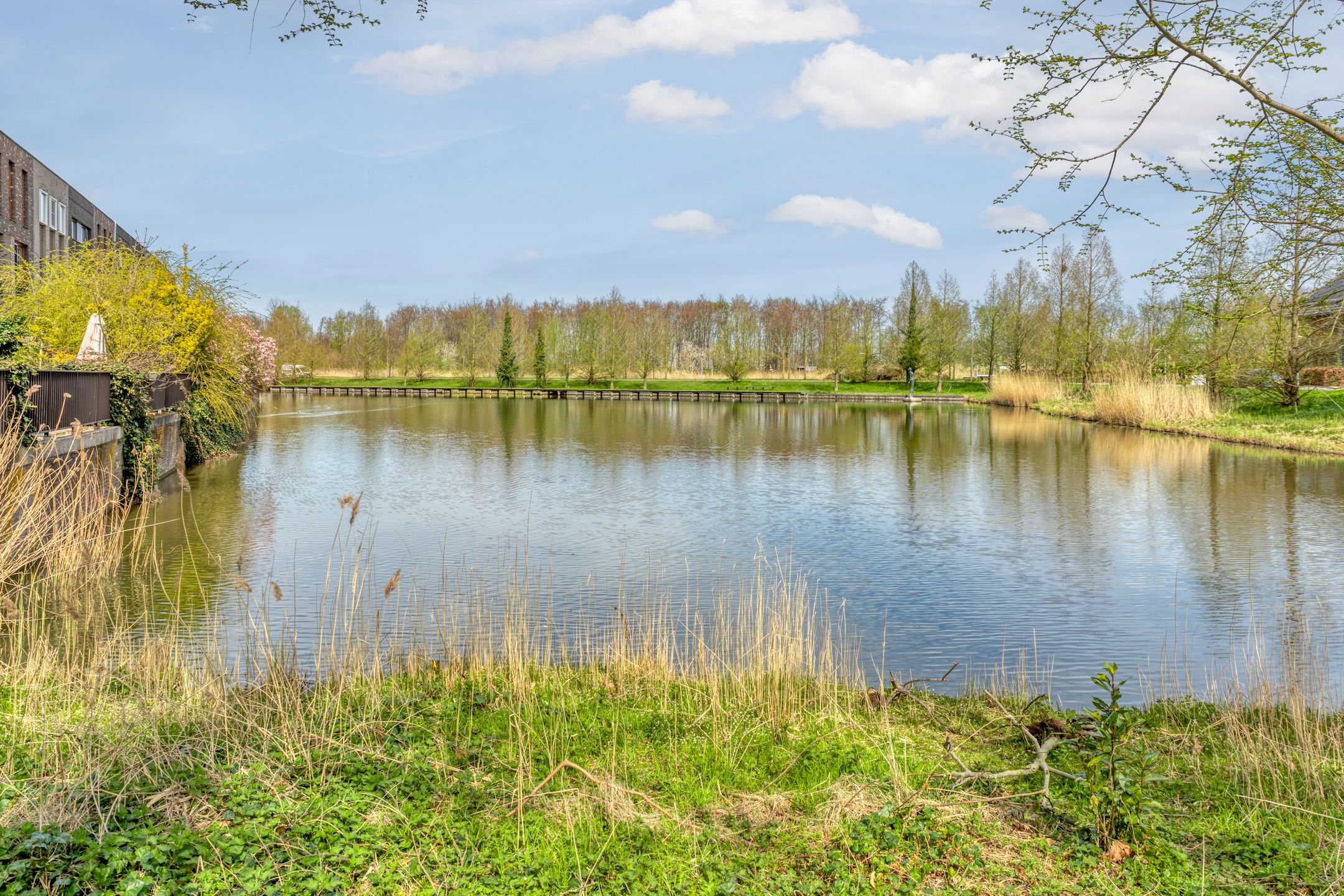 Foto 48 van Chatelainestraat 50