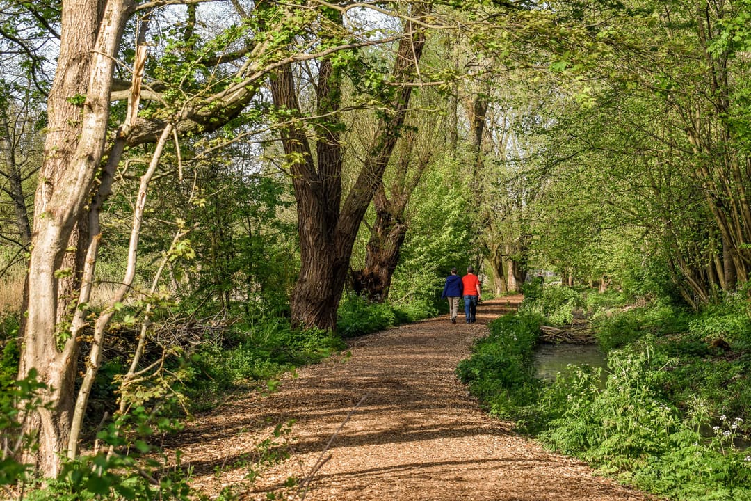 Foto 23 van Borneostraat 1-B