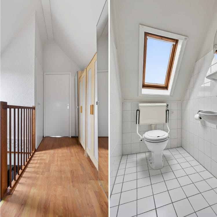 Photo 21 of Meerkoet 28