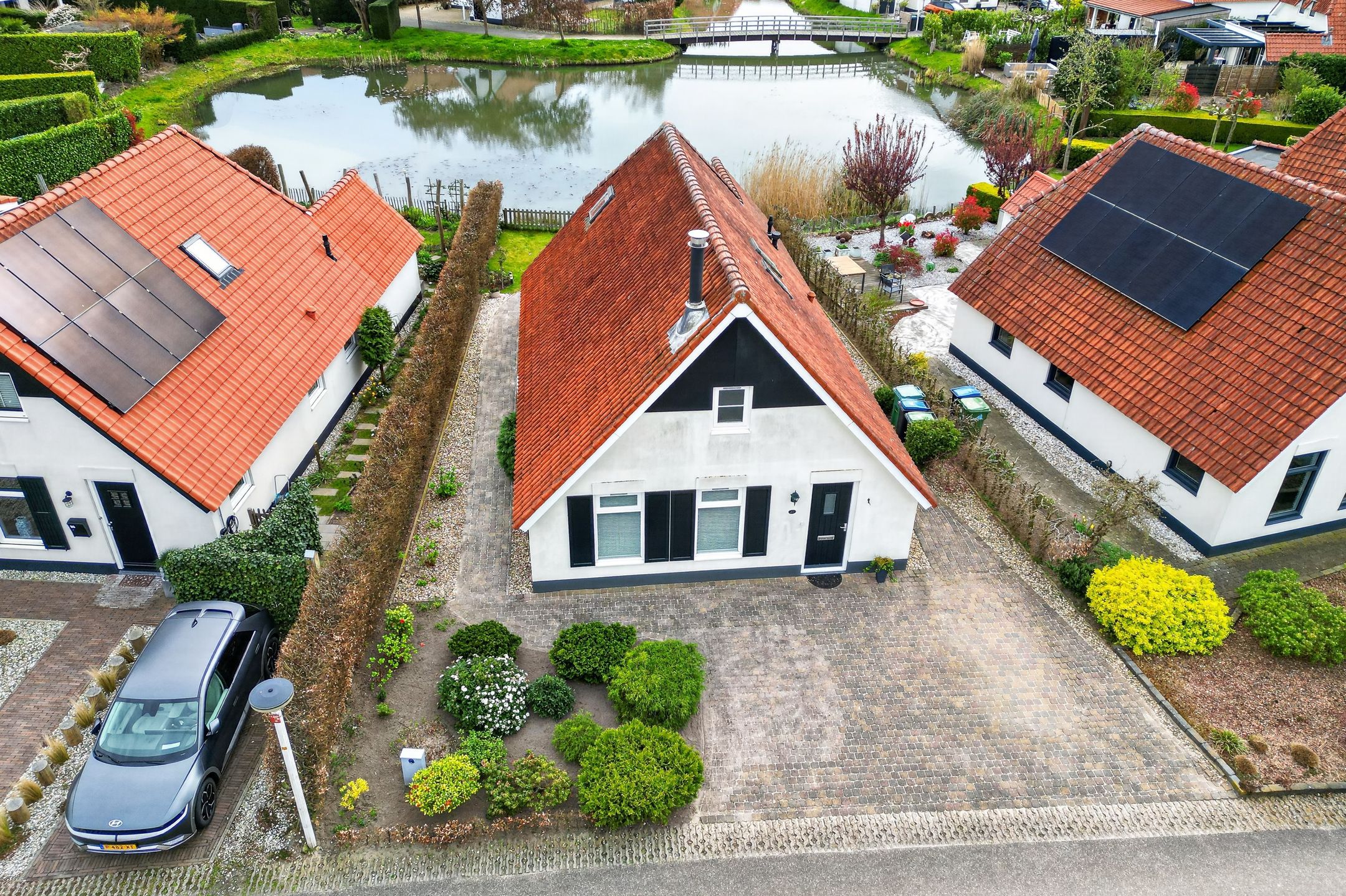 Photo 27 of Meerkoet 28