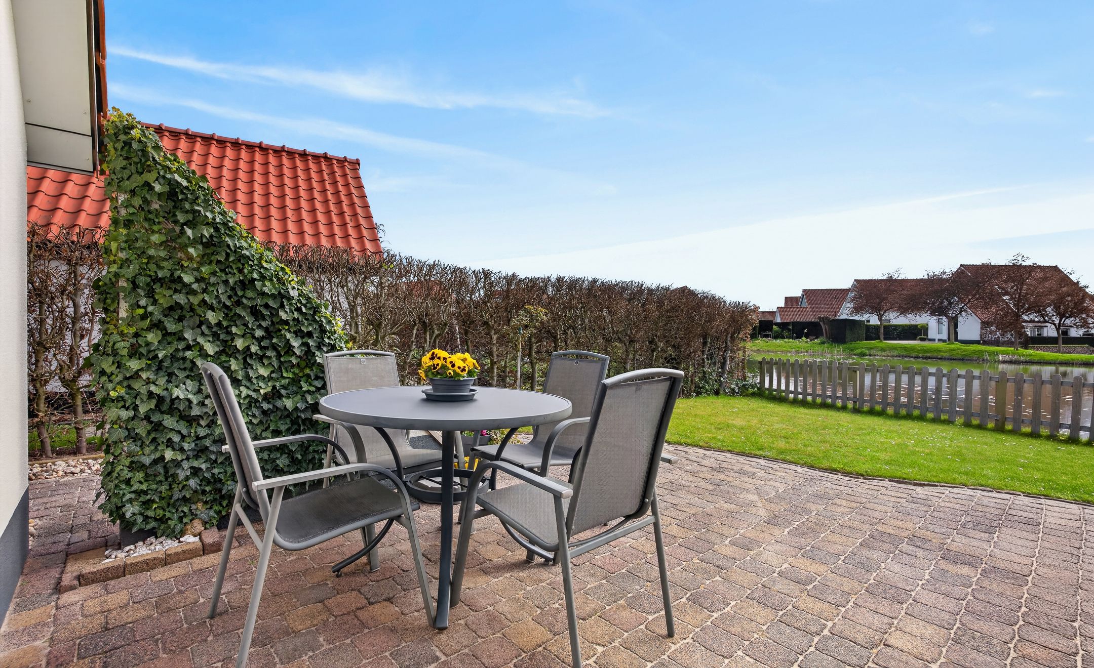 Photo 24 of Meerkoet 28