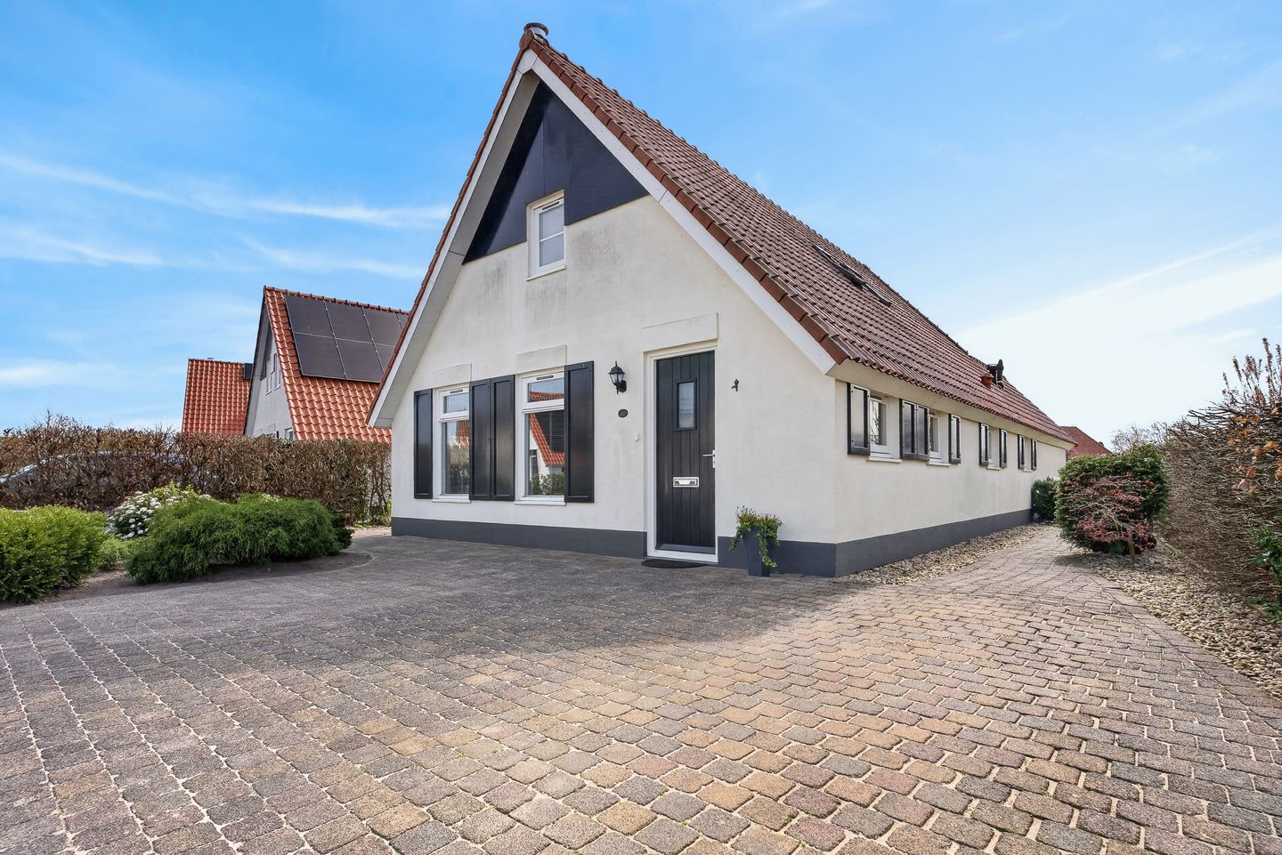 Photo 5 of Meerkoet 28