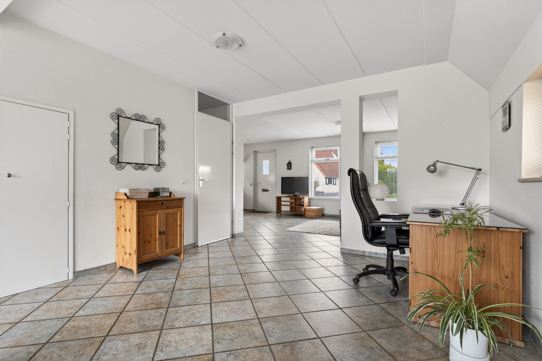 Photo 9 of Meerkoet 28